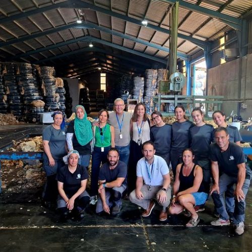 wool cit cuenca wool cit cuenca